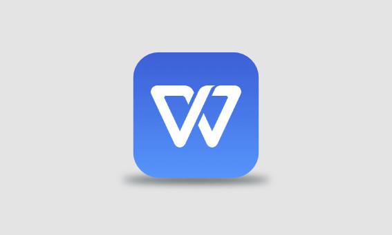 WPS Office 2019 v11.8.2.12195 专业增强版